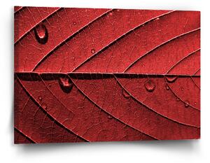Sablio Obraz Červený list - 90x60 cm