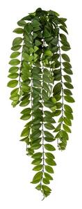 Umělá rostlina Columnea popínavá, 85 cm, zelená
