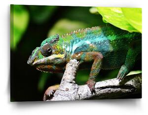 Sablio Obraz Chameleon - 60x40 cm