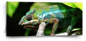 Sablio Obraz Chameleon - 110x50 cm