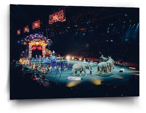 Sablio Obraz Cirkus - 90x60 cm