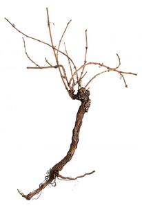 Umělá květina - Vinná réva, 150 cm