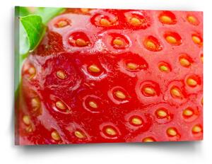 Sablio Obraz Detail jahody - 60x40 cm