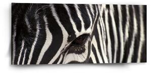 Sablio Obraz Detail zebra - 110x50 cm