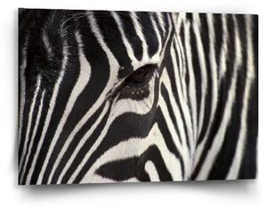 Sablio Obraz Detail zebra - 60x40 cm