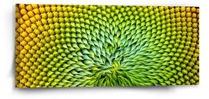 Sablio Obraz Detailní květ - 110x50 cm