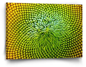 Sablio Obraz Detailní květ - 60x40 cm