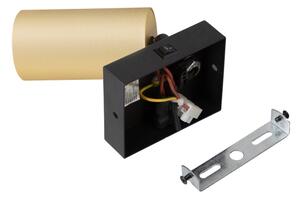 Brilagi - Nástěnné bodové svítidlo SELE 1xGU10/30W/230V černá/zlatá