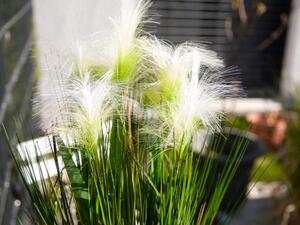 Umělá květina - Péřová tráva, bílá, 60 cm