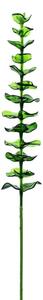 Umělá květina - Eukalyptus zelený - křišťálový, 81 cm, 12 ks