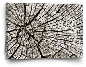 Sablio Obraz Dřevo - 90x60 cm