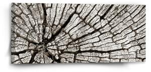 Sablio Obraz Dřevo - 110x50 cm