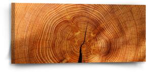 Sablio Obraz Dřevo 2 - 110x50 cm