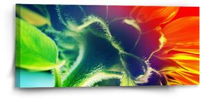 Sablio Obraz Duhová květina - 110x50 cm
