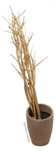 Umělá květina - Suché větvičky fenyklu, zlatá, 160 cm