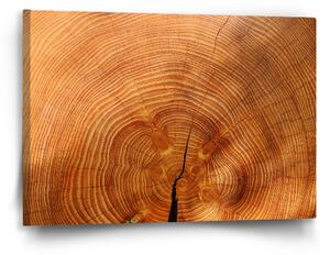 Sablio Obraz Dřevo 2 - 60x40 cm