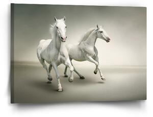 Sablio Obraz Dva bílí koně - 60x40 cm