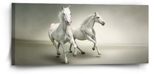 Sablio Obraz Dva bílí koně - 110x50 cm