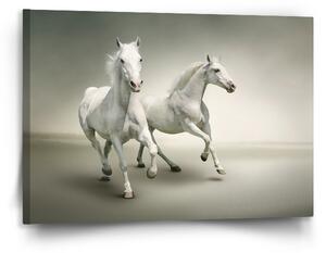 Sablio Obraz Dva bílí koně - 120x80 cm