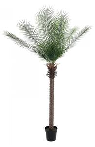 Umělá květina - Phoenix palma deluxe, 220 cm