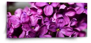 Sablio Obraz Fialové květy - 110x50 cm