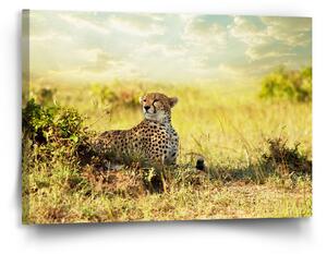 Sablio Obraz Gepard - 90x60 cm