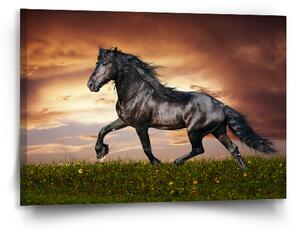 Sablio Obraz Friský kůň - 90x60 cm