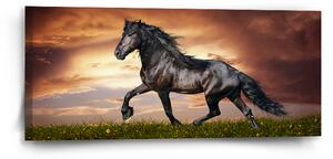 Sablio Obraz Friský kůň - 110x50 cm