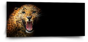Sablio Obraz Gepard 2 - 110x50 cm