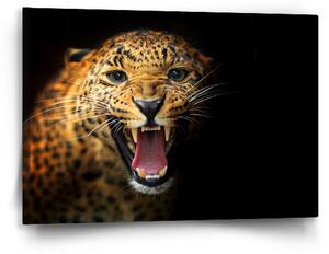 Sablio Obraz Gepard 2 - 60x40 cm