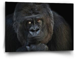Sablio Obraz Gorila - 60x40 cm