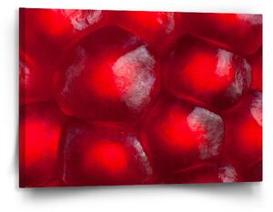 Sablio Obraz Granátové jablko - 120x80 cm