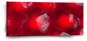 Sablio Obraz Granátové jablko - 110x50 cm
