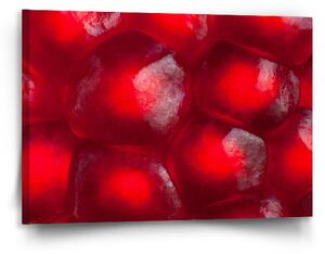 Sablio Obraz Granátové jablko - 90x60 cm