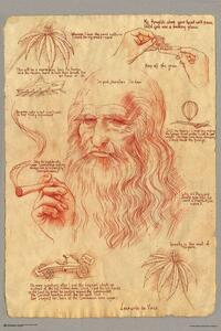 Plakát, Obraz - Leonardo Smoking Pot, (61 x 91.5 cm)