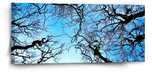 Sablio Obraz Holé větve - 110x50 cm