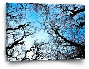 Sablio Obraz Holé větve - 90x60 cm