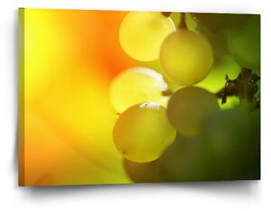Sablio Obraz Hroznové víno - 90x60 cm
