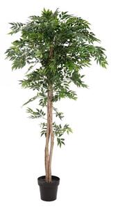 Umělá květina - Ficus longifolia, 165cm
