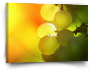 Sablio Obraz Hroznové víno - 60x40 cm