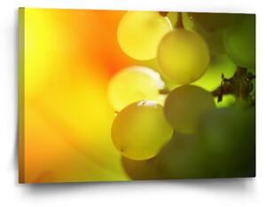 Sablio Obraz Hroznové víno - 120x80 cm