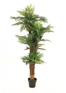 Umělá květina - Palma Areca, 170cm
