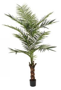 Umělá květina - Kentia palma, výška 240cm