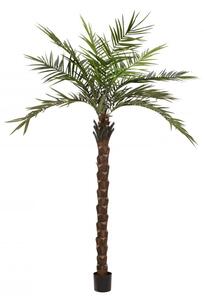 Umělá květina - Kentia palma deluxe, 300cm