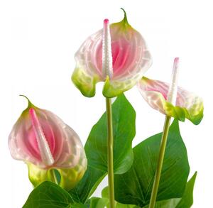 Umělá květina - Anthurie, bílo-růžová