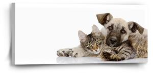 Sablio Obraz Kočička a štěňátko - 110x50 cm
