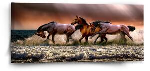 Sablio Obraz Koně ve vodě - 110x50 cm