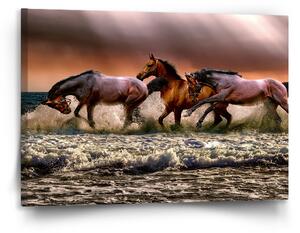 Sablio Obraz Koně ve vodě - 120x80 cm