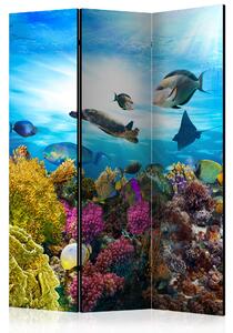 Artgeist Paraván - Coral reef [Room Dividers] Velikosti (šířkaxvýška): 135x172