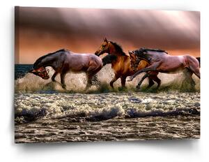 Sablio Obraz Koně ve vodě - 60x40 cm